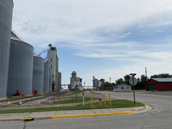 Kinde - July 2021 Photo (newer photo)